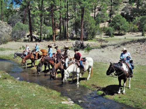 A group of cowboys on horseback gather by a stream in a forested area, enjoying a sunny day outdoors.