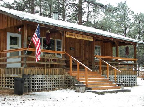 A rustic wooden cabin with a porch, American flag, and snow-covered ground, surrounded by pine trees.