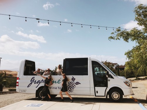 A group of people enjoying a wine tour by a white van with "Grapevine Wine Tours" written on it, under a blue sky.