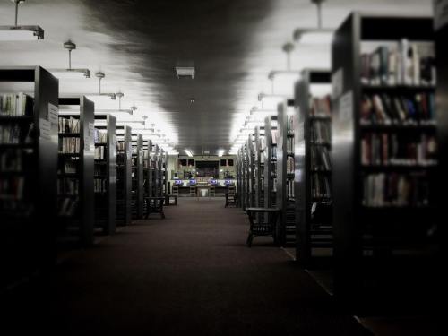 A quiet library interior with rows of bookshelves and a distant service desk, illuminated by overhead lights.
