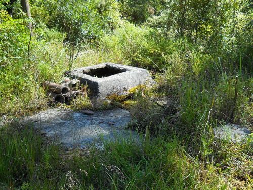 An overgrown area featuring a concrete well surrounded by tall grass and scattered debris.