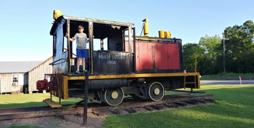 A boy stands on an old train engine named "Marie Louise" from 1906, set on tracks in a grassy area.
