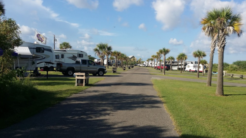 A paved road lined with RVs and palm trees under a blue sky with scattered clouds.