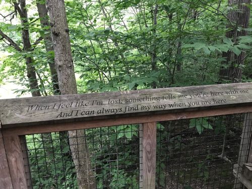 A wooden sign in a forest with an inspirational quote about feeling lost and finding guidance.