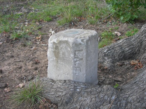 A weathered concrete marker partially obscured by tree roots, with engraved text on its side.