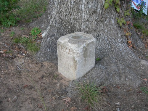 A weathered stone marker at the base of a tree, partially covered by grass and soil.