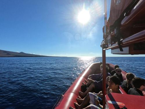 A red boat with passengers on a calm blue ocean, under a bright sun and clear sky. Mountains are visible in the distance.