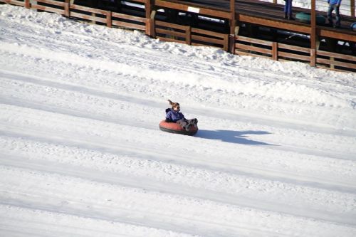 A person in a tube slides down a snowy slope, with a wooden structure in the background.