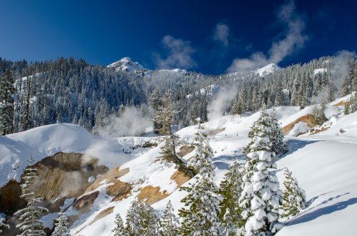 Snow-covered mountains with evergreen trees and steam rising from geothermal features under a clear blue sky.