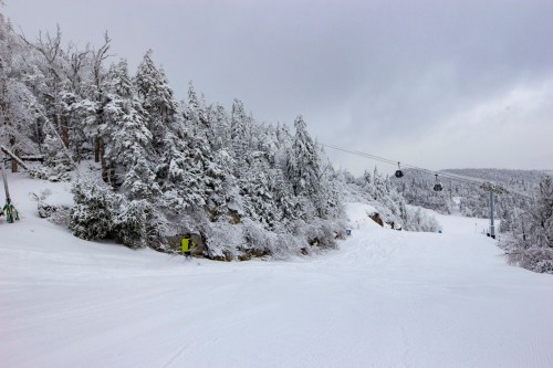 A snowy landscape with trees and a ski slope, featuring a ski lift in the background under a cloudy sky.