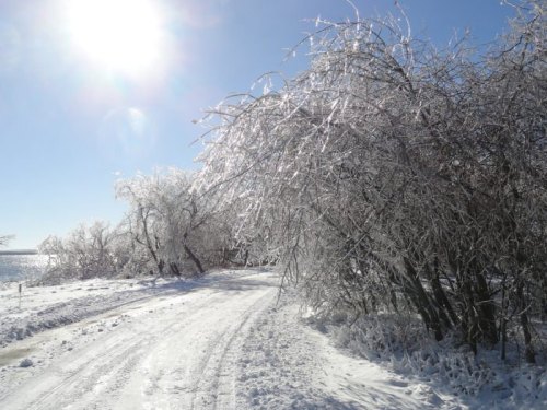 A snowy landscape with trees covered in ice, glistening under a bright sun. A winding path leads through the scene.