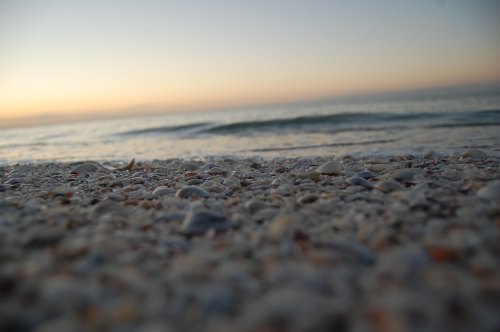 Close-up of a sandy beach covered in seashells, with gentle waves and a soft sunset in the background.