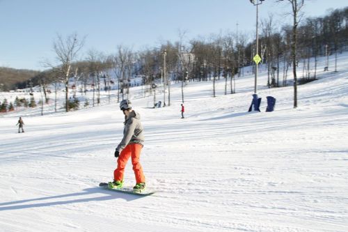 A snowboarder in orange pants glides down a snowy slope on a sunny day, with trees and other skiers in the background.