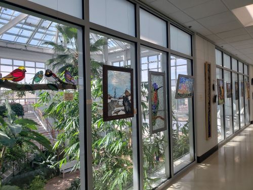 A hallway with large windows showcasing colorful stained glass art and vibrant plants in a bright, airy space.