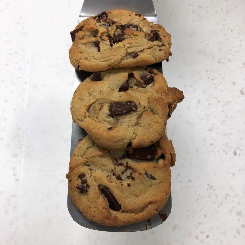 Three freshly baked chocolate chip cookies on a metal spatula, resting on a light-colored surface.