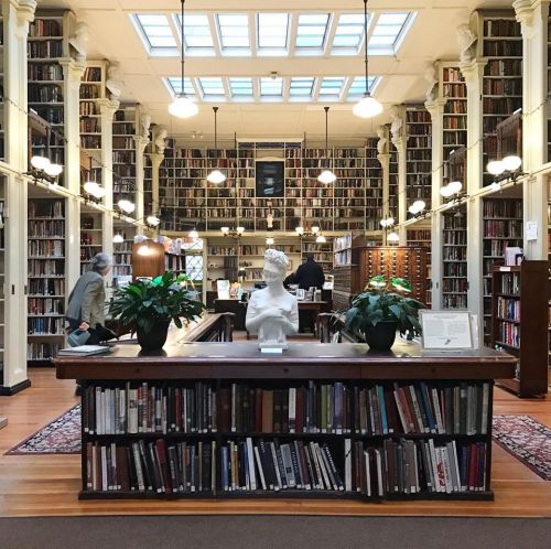 A spacious library with tall bookshelves, a bust sculpture, and plants, featuring warm lighting and wooden floors.