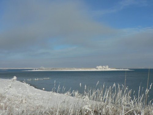 A serene winter landscape featuring a snowy shore, calm water, and a distant island under a blue sky.