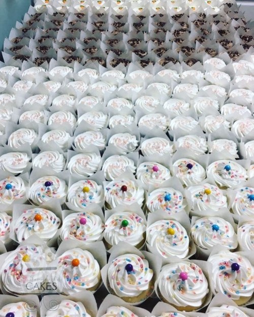 A large display of cupcakes with white frosting and colorful sprinkles, arranged in neat rows.