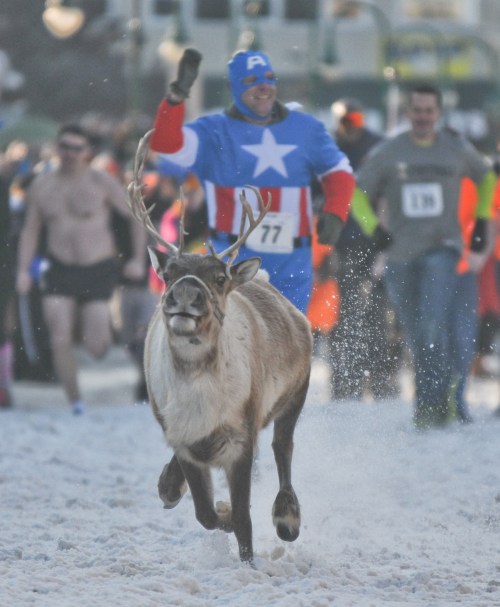 A reindeer runs alongside a man in a Captain America costume during a snowy race, with other runners in the background.