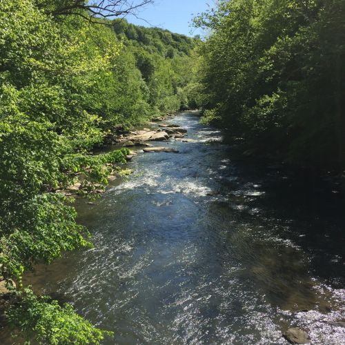 A serene river flows through a lush green landscape, surrounded by trees and rocky banks under a clear blue sky.