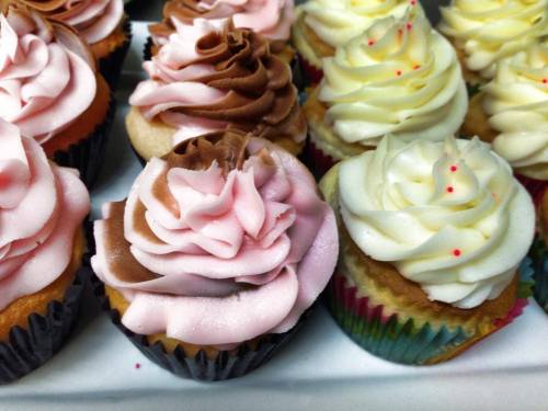 A close-up of colorful cupcakes with swirled frosting in pink, chocolate, and white, displayed in a tray.