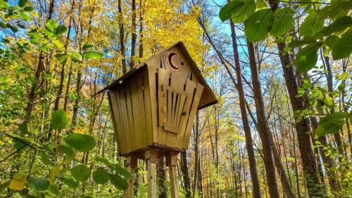 A whimsical treehouse stands among vibrant autumn trees, with sunlight filtering through the leaves.