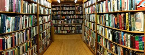 A cozy library with wooden shelves filled with a variety of books, creating a warm and inviting reading space.
