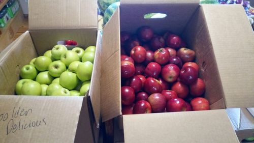 Two cardboard boxes filled with apples: one with green Golden Delicious apples and the other with red apples.