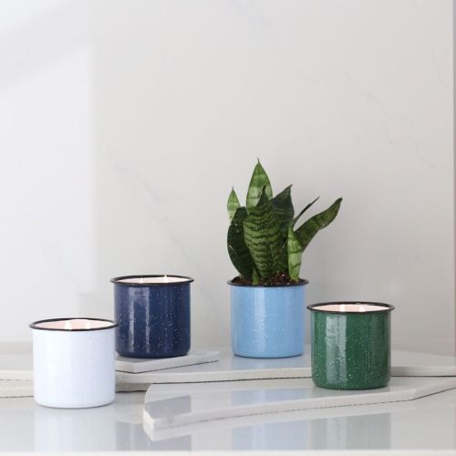 Three decorative candles in blue, green, and white containers, with a small potted plant in the center on a light surface.