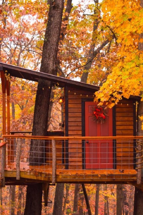 A cozy treehouse with a red door, surrounded by vibrant autumn foliage and warm lighting.
