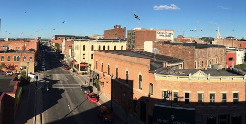A city street view with brick buildings, shops, and birds flying in a clear blue sky.