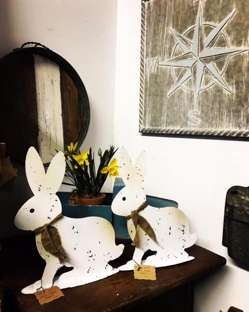 Two white wooden bunnies with burlap bows sit on a shelf beside a potted daffodil and a decorative compass.