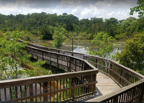 A wooden boardwalk winds through a lush, green wetland with trees and water in the background under a blue sky.