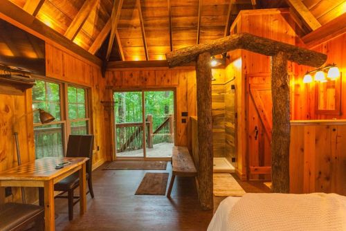 Cozy cabin interior with wooden walls, a shower, and large windows overlooking a forested area.