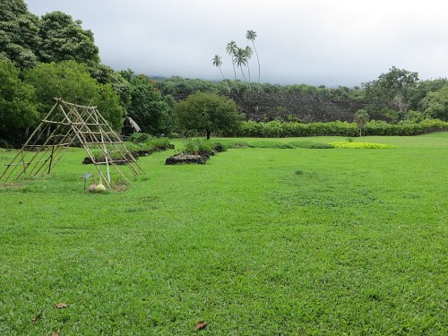 A lush green field with a bamboo structure, surrounded by trees and distant palm trees under a cloudy sky.