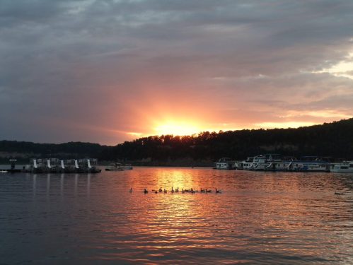 Sunset over a calm lake, with boats docked and a line of ducks swimming in the foreground.