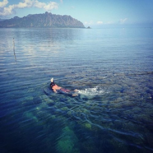 A person swims in clear water near a rocky shoreline with mountains in the background under a blue sky.