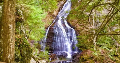 A serene waterfall cascading down rocky terrain, surrounded by lush green trees and foliage.