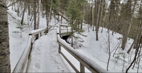 A snowy path with wooden railings winds through a forest of trees, leading to a small bridge over a stream.