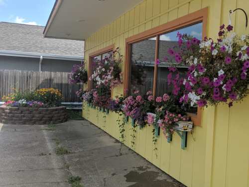 Bright yellow building with flower-filled window boxes and a stone garden, featuring colorful blooms and a clear blue sky.