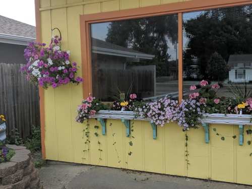 A bright yellow wall features a large window with colorful flower boxes and hanging plants, creating a cheerful garden vibe.