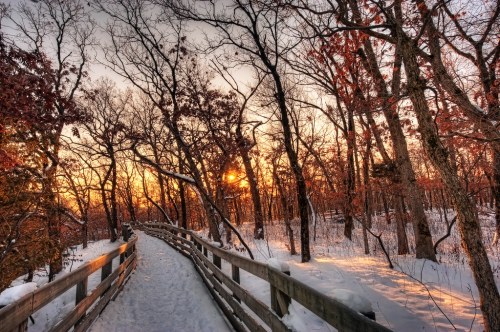 A snowy path winds through a forest at sunset, with bare trees silhouetted against a colorful sky.