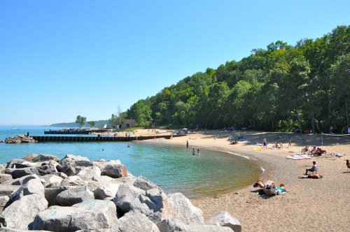 A sunny beach scene with people relaxing on the sand, surrounded by trees and a calm water inlet.