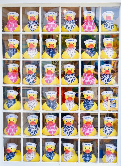 A grid of colorful rubber ducks wearing bandanas, each with a name tag, displayed in a window.