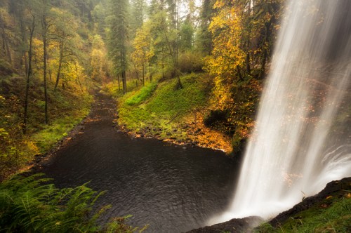 A serene waterfall cascades into a dark pool, surrounded by lush greenery and autumn-colored foliage.