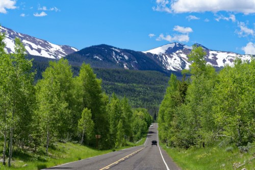 A winding road through lush green trees, with snow-capped mountains in the background under a clear blue sky.