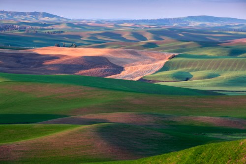 Rolling hills of green and brown fields under a soft blue sky, creating a serene and picturesque landscape.