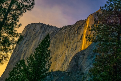 A golden waterfall cascades down a rocky cliff, surrounded by tall pine trees at sunset.