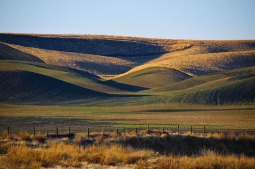Rolling green hills under a clear sky, with shadows creating a wavy pattern across the landscape.