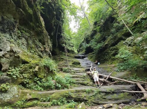 A person stands on a rocky path in a lush, green forest with steep, moss-covered walls and a small waterfall.